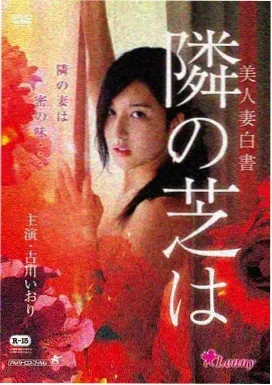 雨后巴黎 - 法国 2013